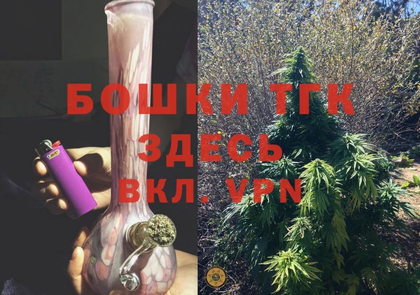 индика Краснотурьинск