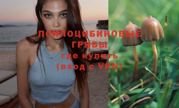 индика Краснотурьинск