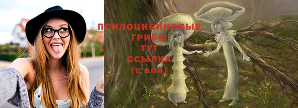 шишки Кострома