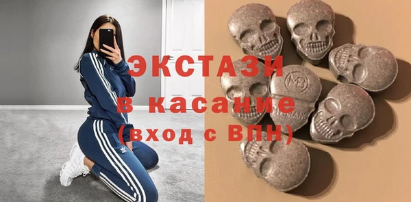 индика Краснотурьинск